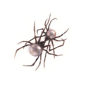 <Free> "Donut"PluggX Doja Cat Type Beat