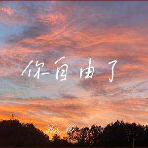 你自由了