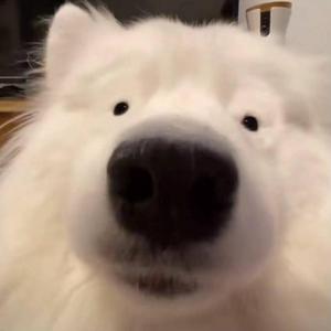 Record_2021-01-23-12-45-21_bec470a465fc302a62a0d9