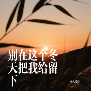 别在这个冬天把我给留下