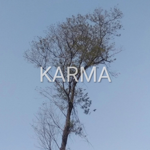 Karma