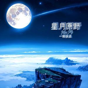 星月落（DJ版）