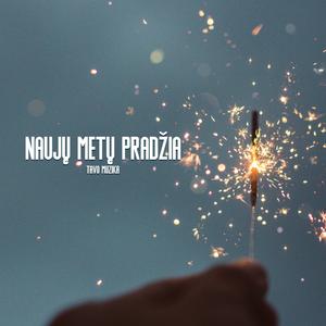 Naujų Metų Pradžia