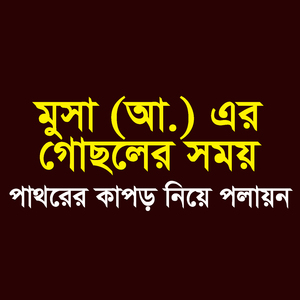 মুসা (আ.) এর গোছলের সময় পাথরের কাপড় নিয়ে পলায়ন