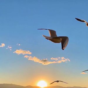 江南寻梦-来无锡看看