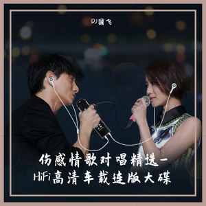 伤感情歌对唱精选-HiFi高清车载连版大碟