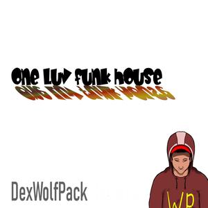 one Luv funk house