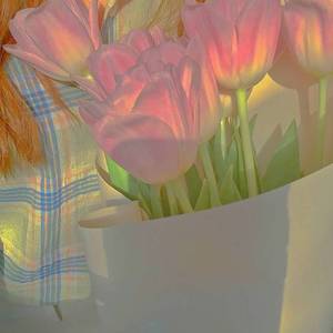 最好的都给你（温柔女声版）