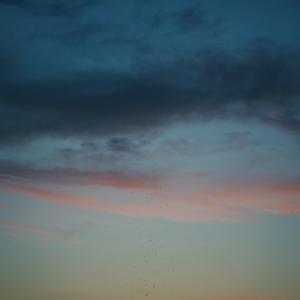 我昨天写了一首没有词的诗