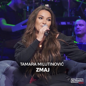 Zmaj (Cover)