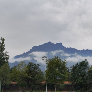 山