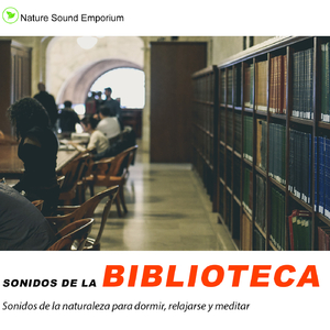 Sonidos de la Bibioteca - estudiar, meditar, dormir, sonidos relajantes- Parte 1