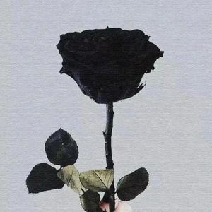 满行，可可里面:巧克力对心苍添好，但咖啡却反赋座用，香菜爬楼梯也对芯急演笑锅好&放低鱼望