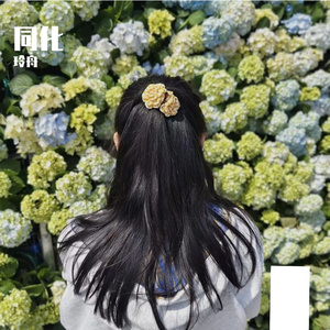 融合 伴奏