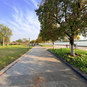 吹着风向往自由