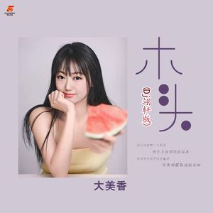 木头(DJ版)