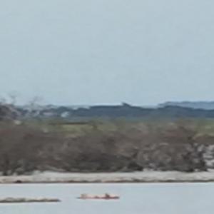 Beat down your Brain