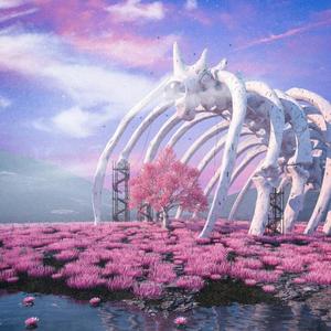 Winter Blossom (Inst.)