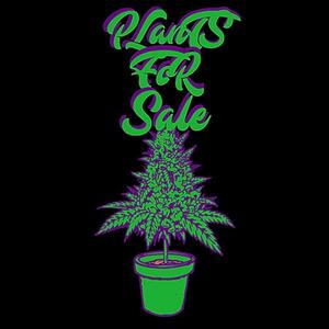 Crackpipe (Original Instrumental Version)