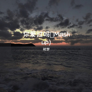 aEZi-你爱过我吗（mash up）（初梦 remix）