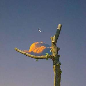 刹那烟花刹那冷（煙花容易冷rnb.Piano Ver.)