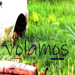 Volamos