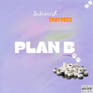 Plan B (feat. Snap Dogg) (Bronco Boy Edition)