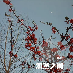 人生苦短(野比大雄的梦)
