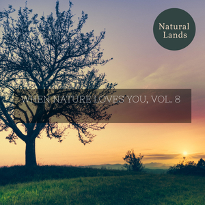 Unstoppable Mid Day Ocean Waves