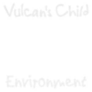Environment 1