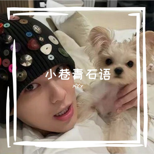 小巷青石语