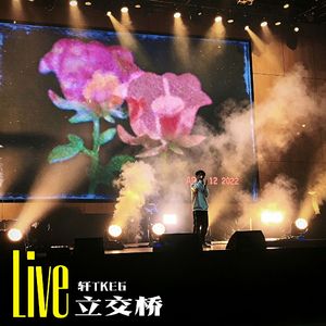 立交桥(Live)