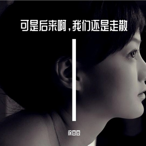 可是后来啊，我们还是走散