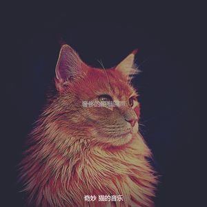 抚慰的放松的猫回忆