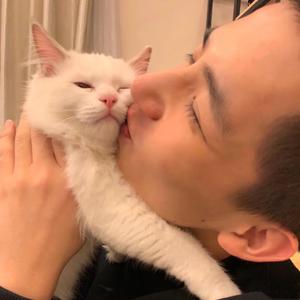 Magic t-虚拟（杨凡许 remix）