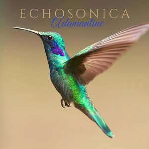 High in the Sunlit Silence