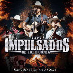 Orden De Aprehension (En Vivo)