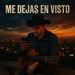 Me Dejas en Visto