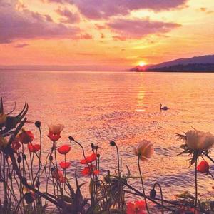 ᴬ ᵈᵉˢᵉʳᵗᵉᵈ ᵖᵒʳᵗ ⁱˢ ᵃˡʷᵃʸˢᶠᵘˡˡ ᵒᶠ ᶠˡᵒʷᵉʳˢ