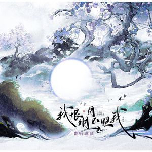 我恨明月不照我