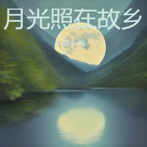 月光照在故乡 (伤感版)