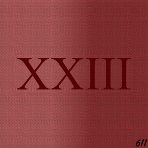 23