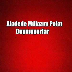 Duymuyorlar