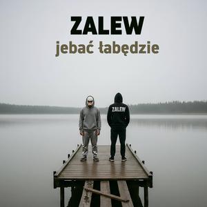 JEBAĆ ŁABĘDZIE