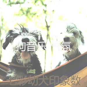 微妙的狗心情