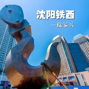 沈阳铁西 - 段家兴