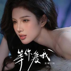 等你爱我 (DJ版)