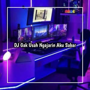 DJ NGGAK USAH NGAJARIN AKU SABAR NGGAK USAH POKOKNYA AKU ORANGNYA EMOSIAN