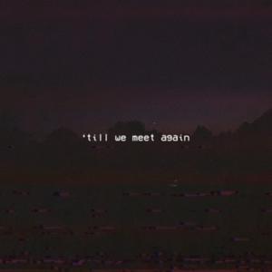 Till We Meet Again