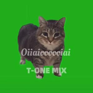 oiia猫 - Oiiaioooooiai（T-ONE Remix）